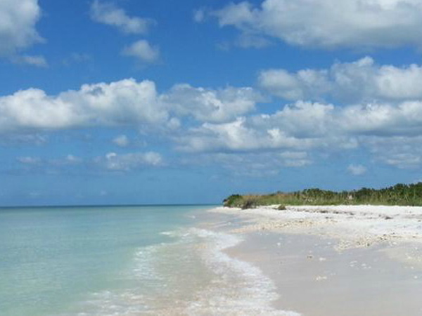 The 20 Best Clear Water Beaches in Florida